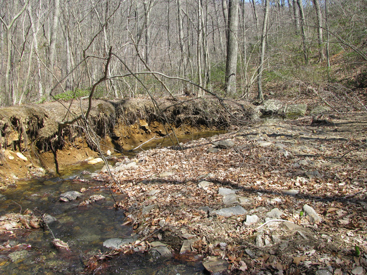 Field photo showing stream conditions at site LOCH-120-S-2009-1