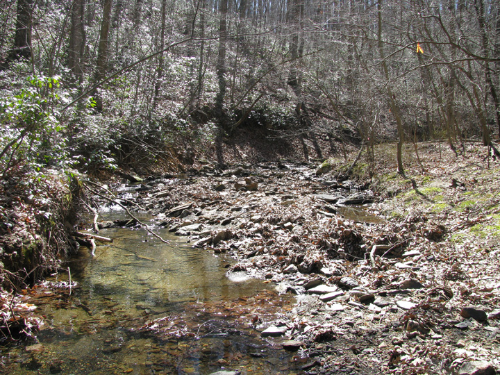 Field photo showing stream conditions at site LOCH-120-S-2009-2