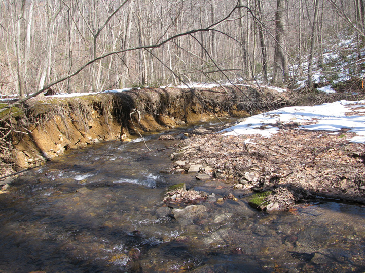 Field photo showing stream conditions at site LOCH-120-S-2010-1