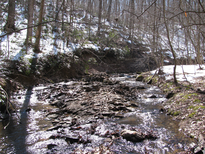 Field photo showing stream conditions at site LOCH-120-S-2010-2