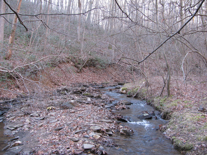 Field photo showing stream conditions at site LOCH-120-S-2011-2