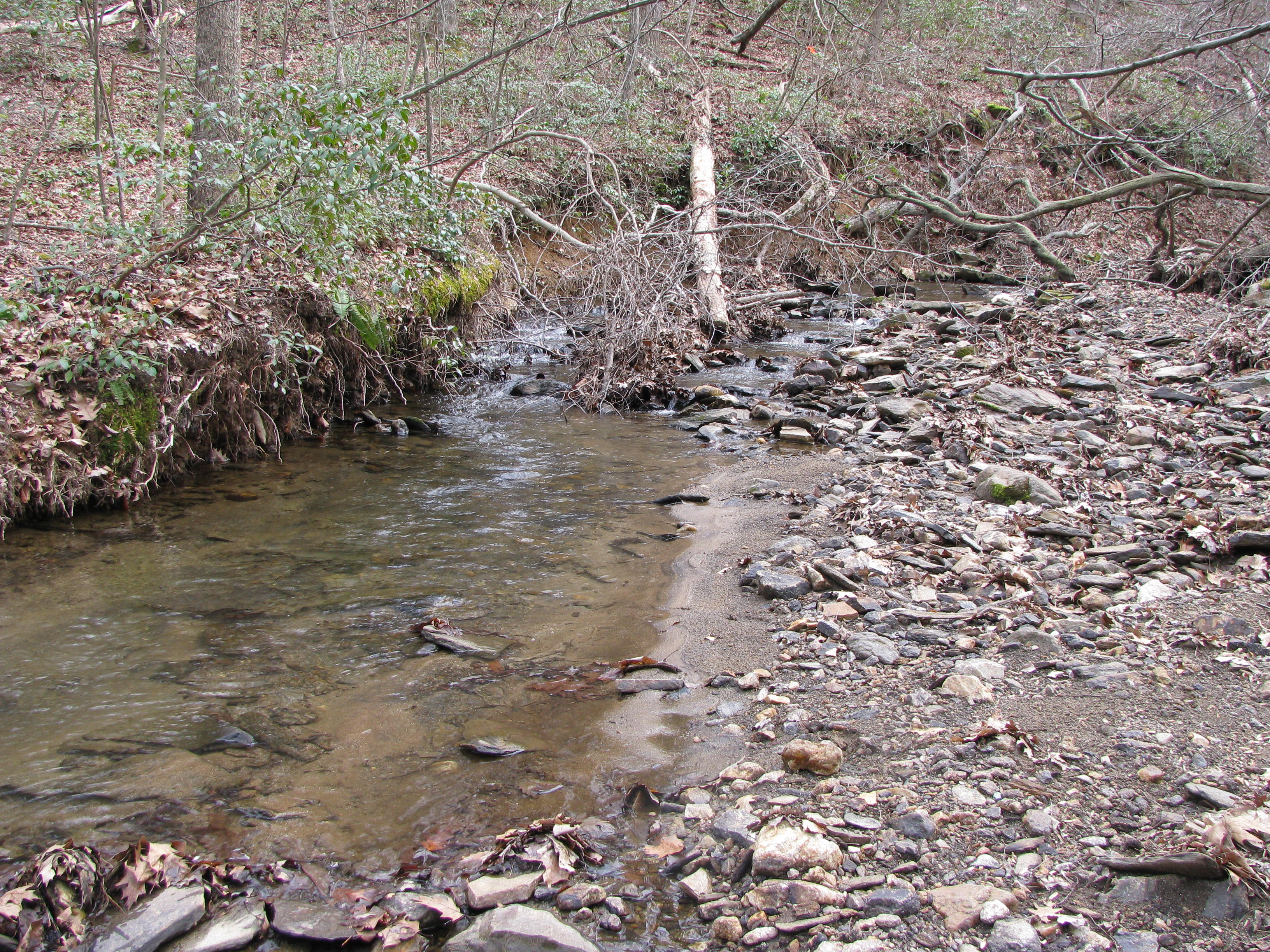 Field photo showing stream conditions at site LOCH-120-S-2012-1