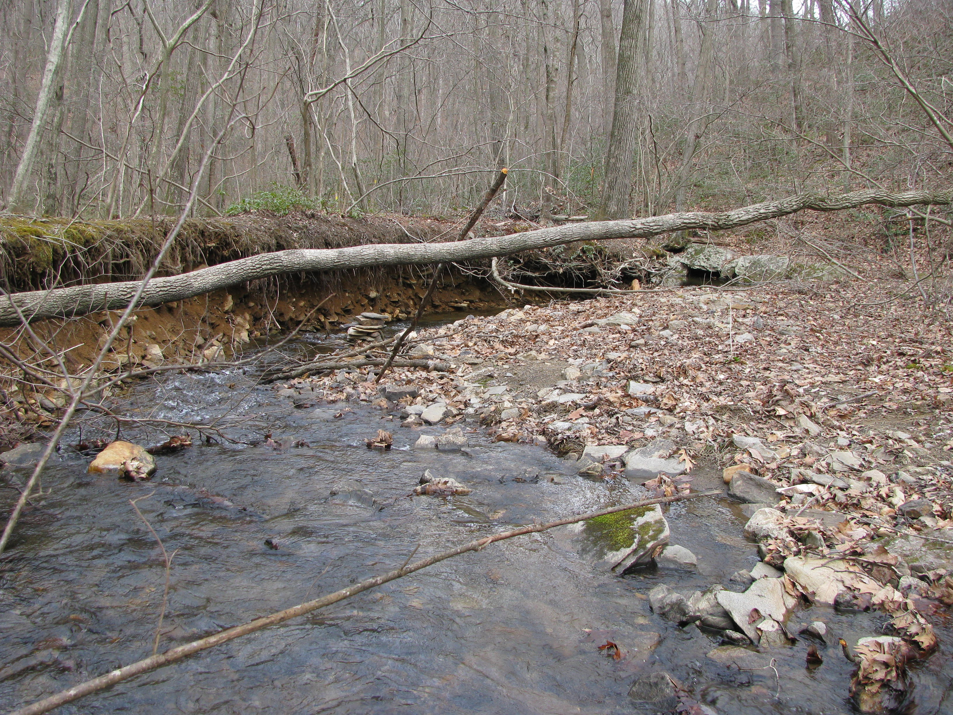 Field photo showing stream conditions at site LOCH-120-S-2012-2