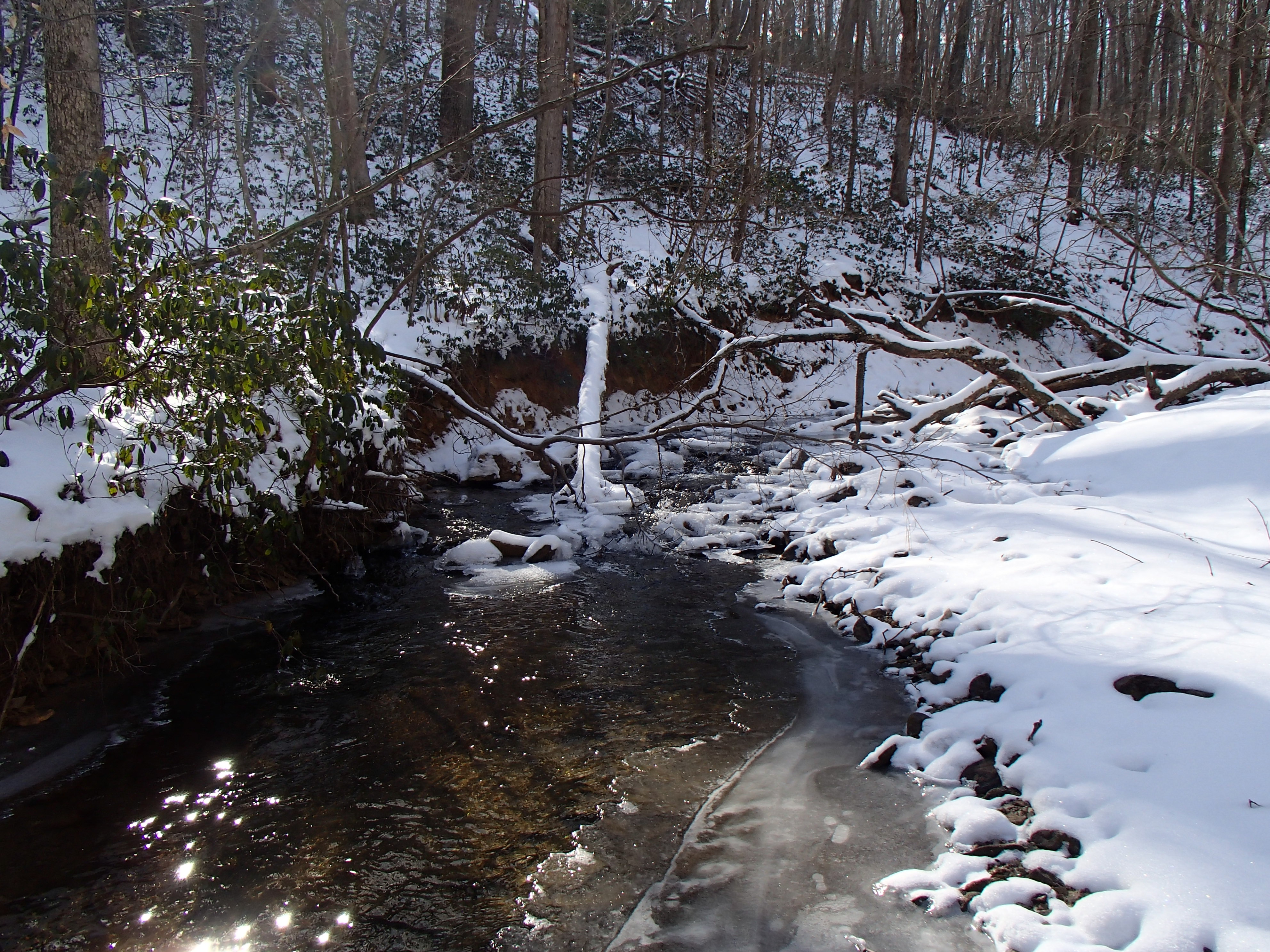 Field photo showing stream conditions at site LOCH-120-S-2014-1