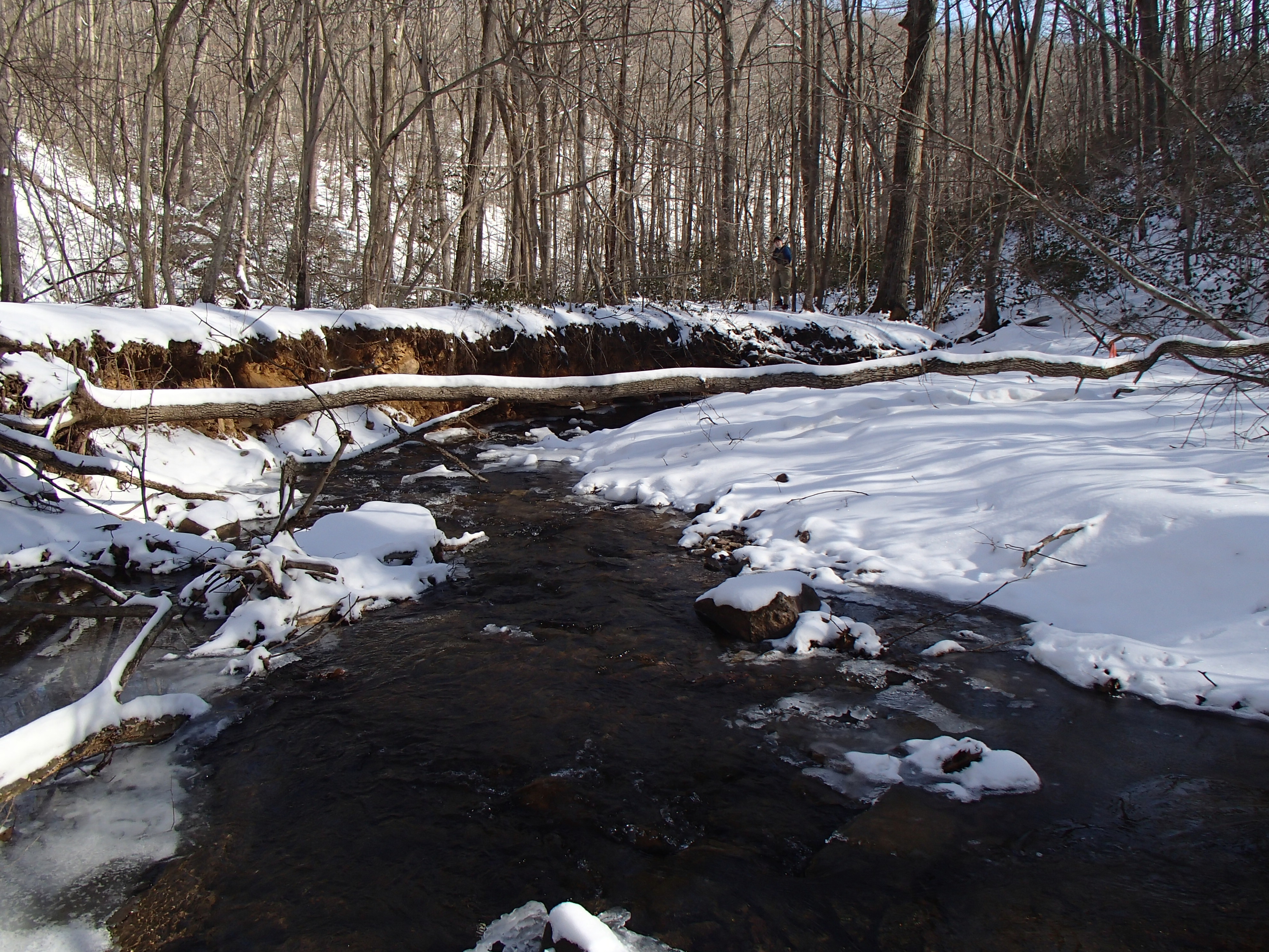 Field photo showing stream conditions at site LOCH-120-S-2014-2