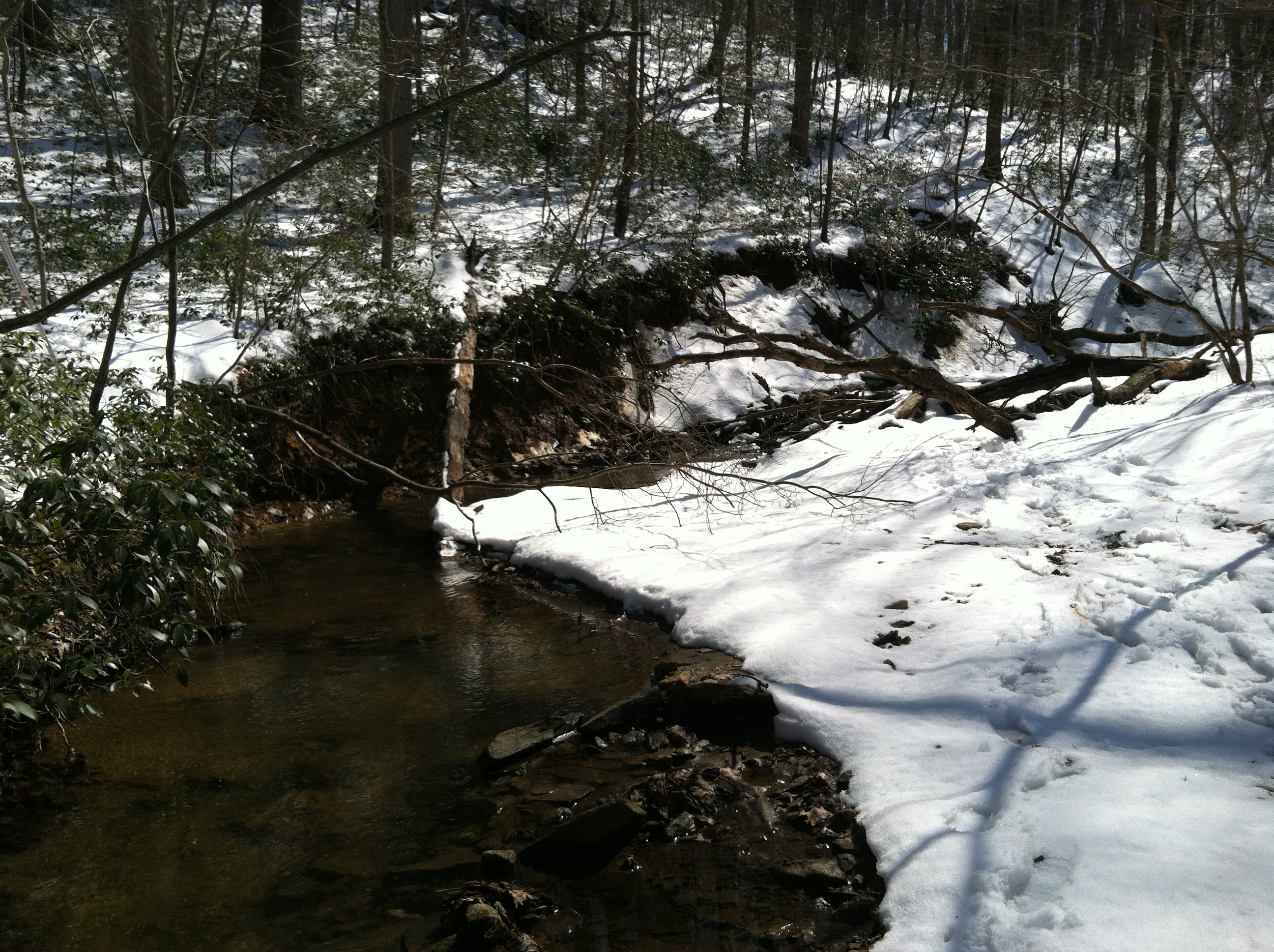 Field photo showing stream conditions at site LOCH-120-S-2015-1