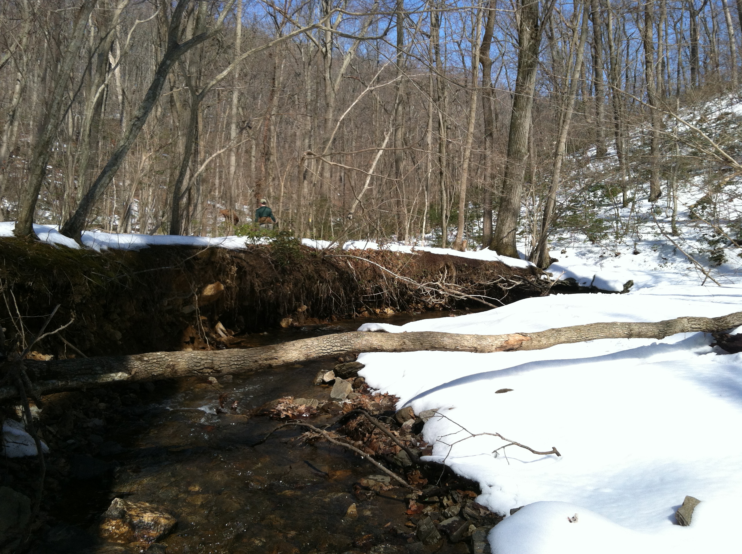Field photo showing stream conditions at site LOCH-120-S-2015-2