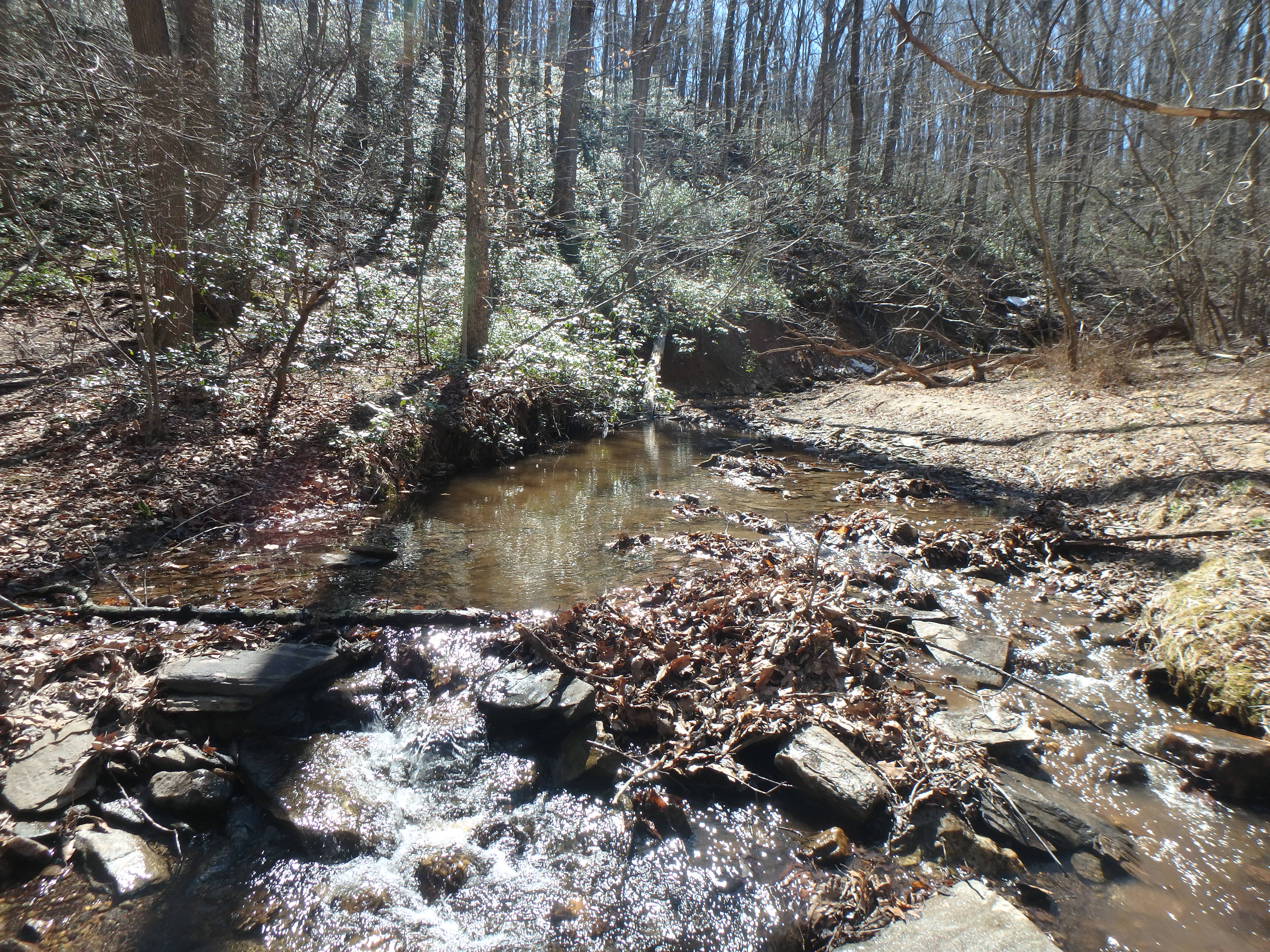 Field photo showing stream conditions at site LOCH-120-S-2017-ApproximateMidpointLookingUpstream