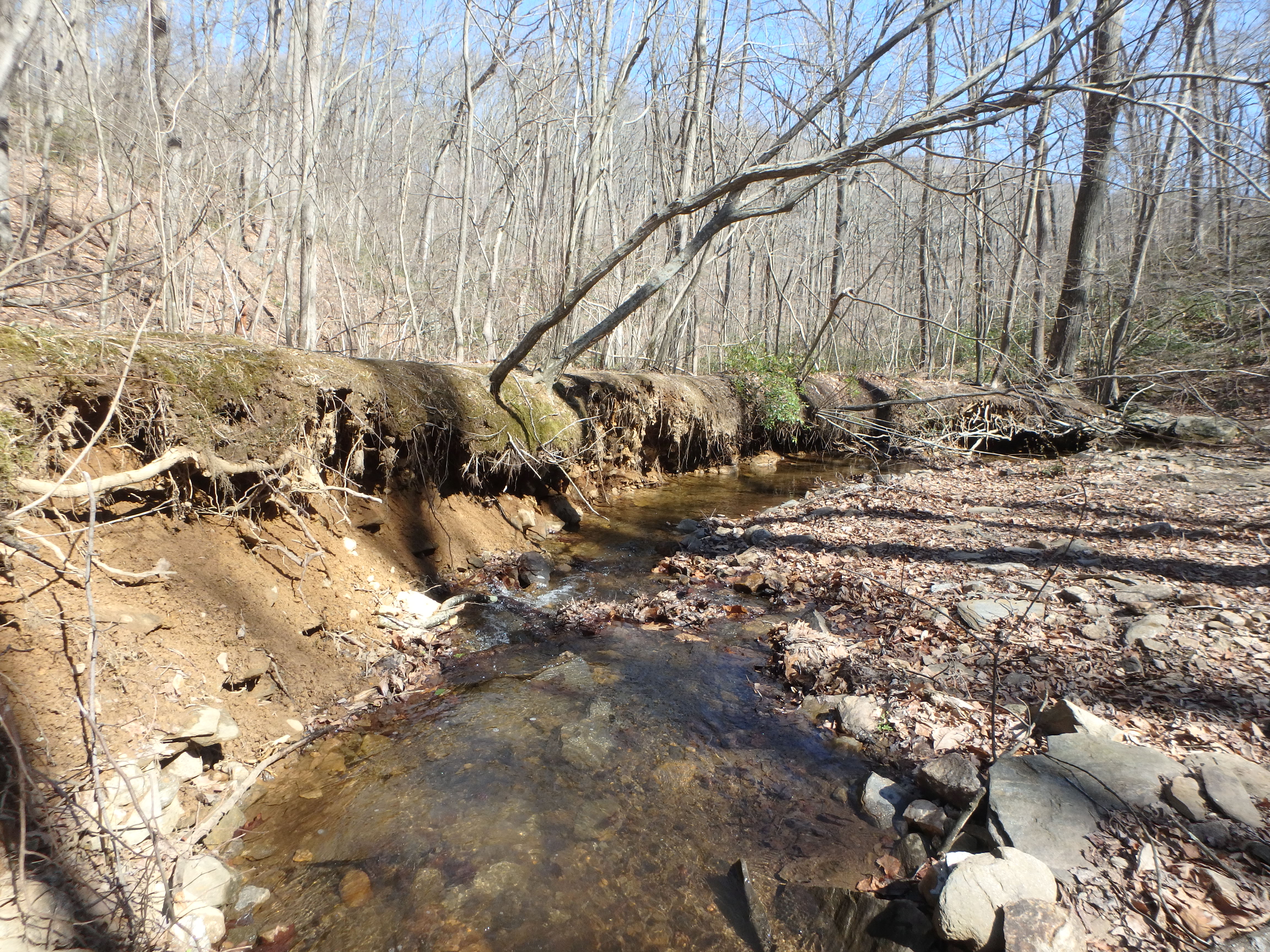 Field photo showing stream conditions at site LOCH-120-S-2017-MidpointLookingDownstream