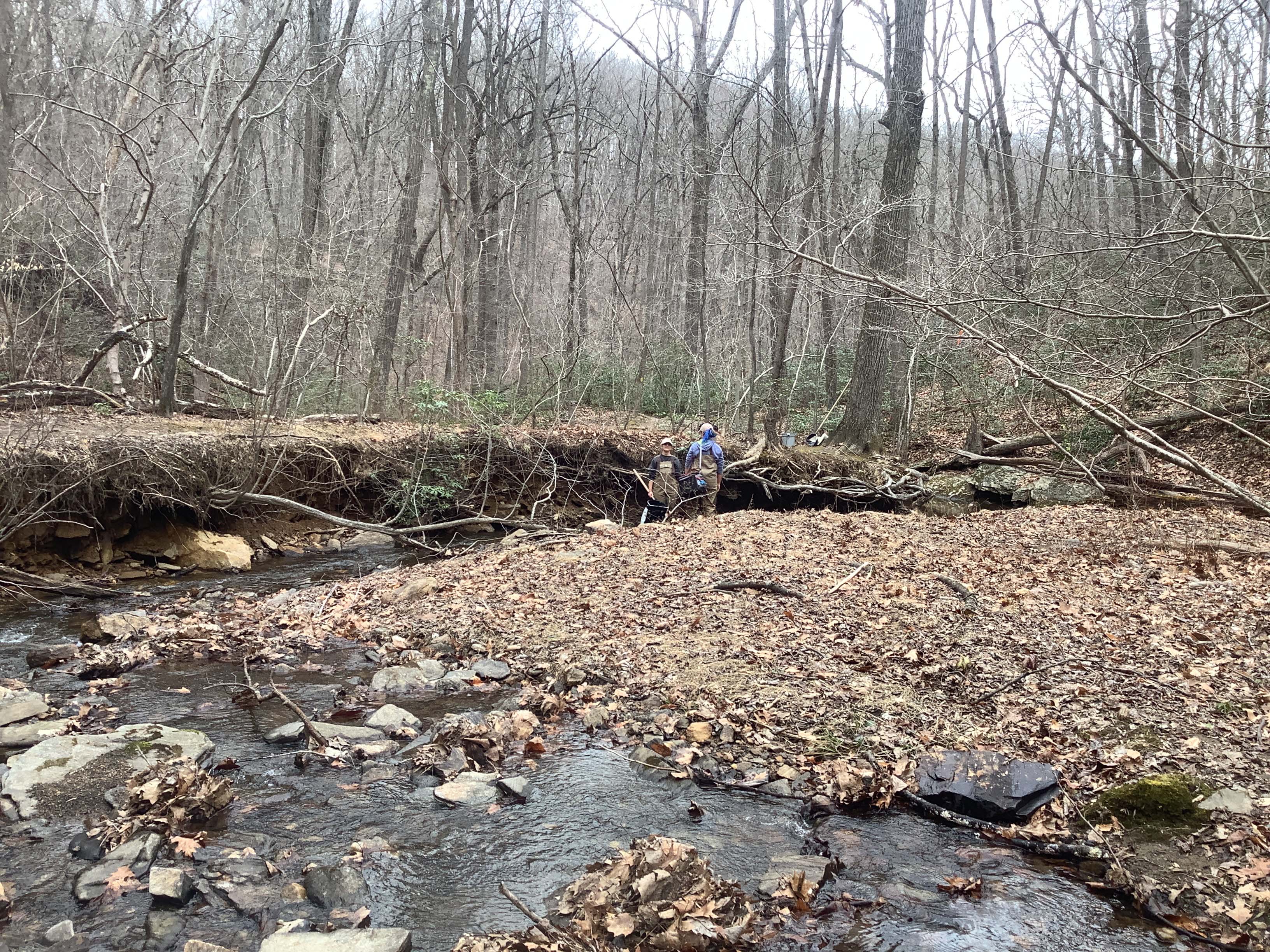 Field photo showing stream conditions at site LOCH-120-S-2023_Midpoint_facing_downstream
