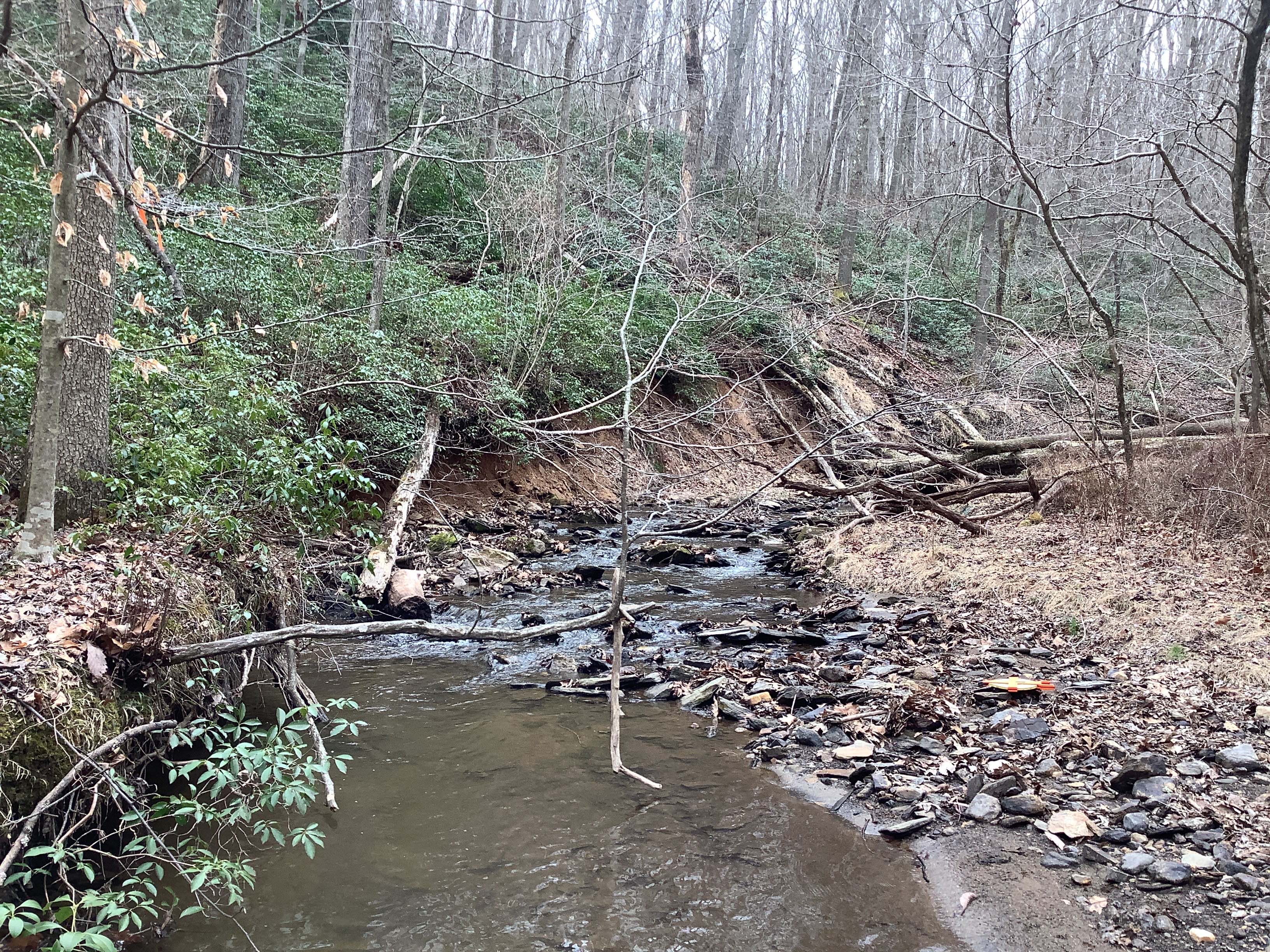 Field photo showing stream conditions at site LOCH-120-S-2023_Midpoint_facing_upstream