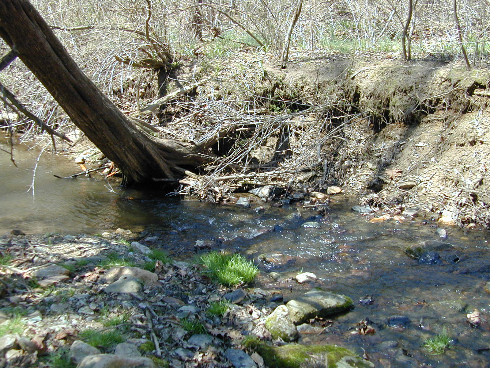 Field photo showing stream conditions at site LOCH-121-R-2002-492