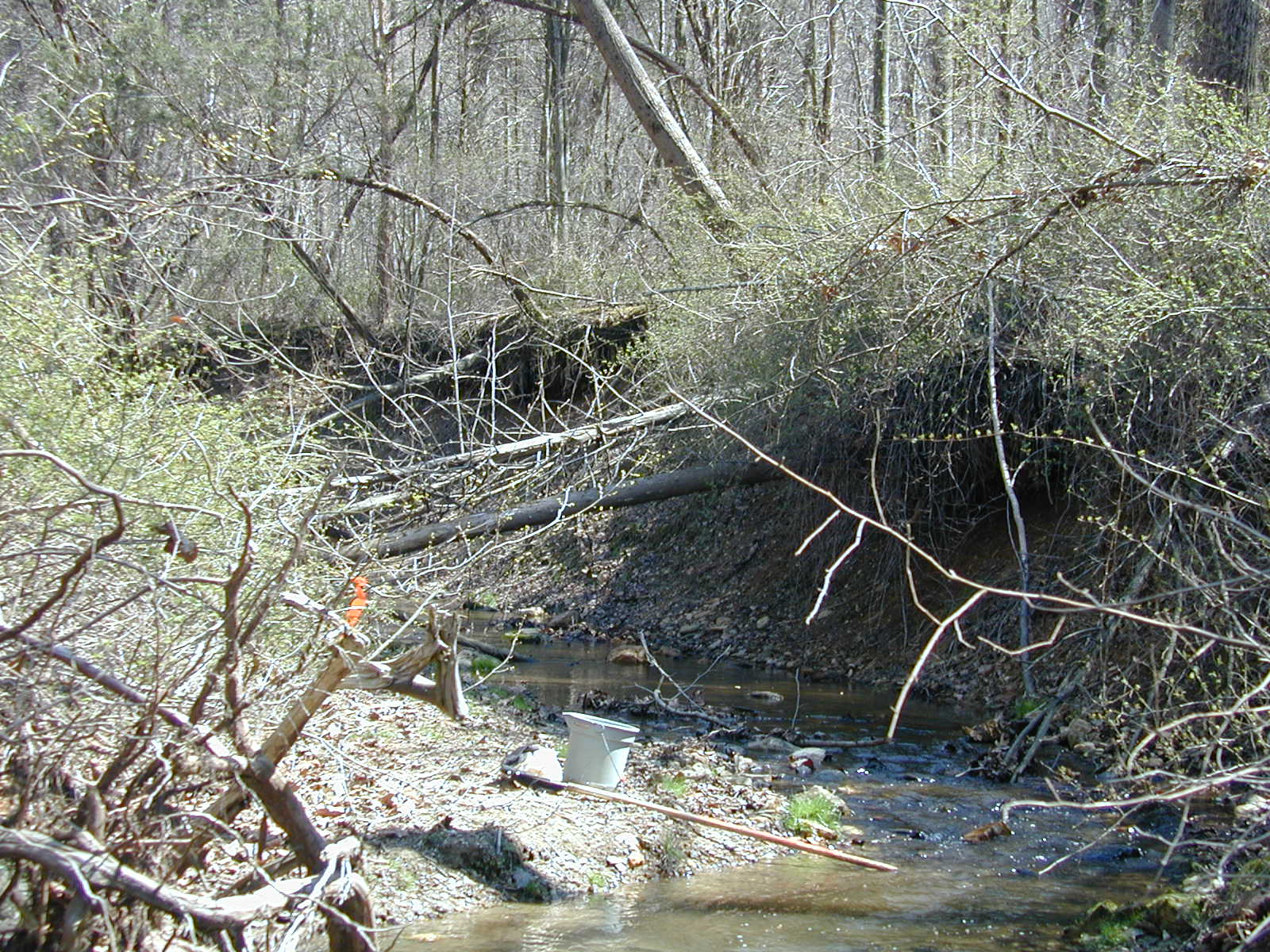 Field photo showing stream conditions at site LOCH-121-R-2002-493