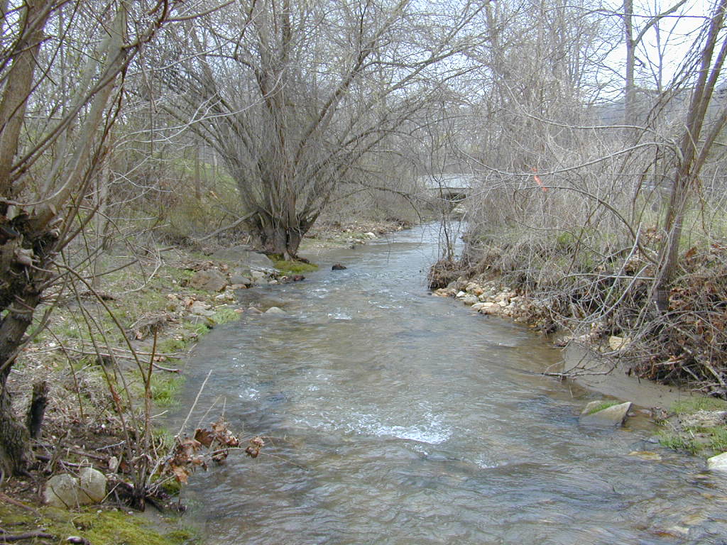 Field photo showing stream conditions at site LOCH-209-S-2000-01