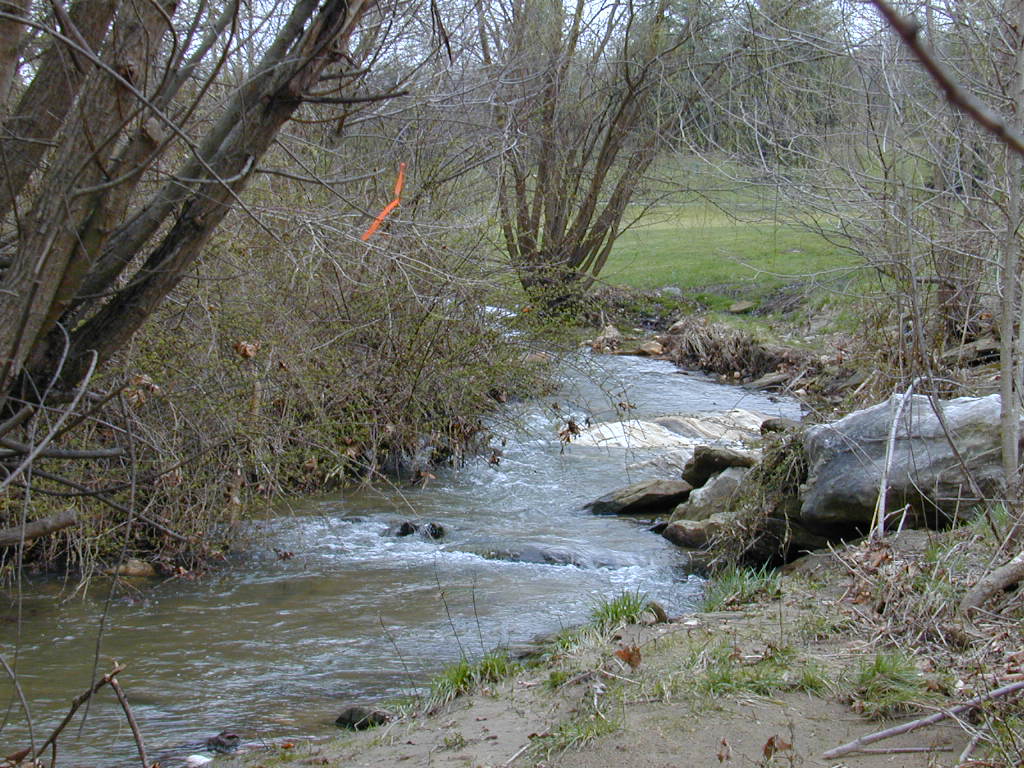 Field photo showing stream conditions at site LOCH-209-S-2000-02