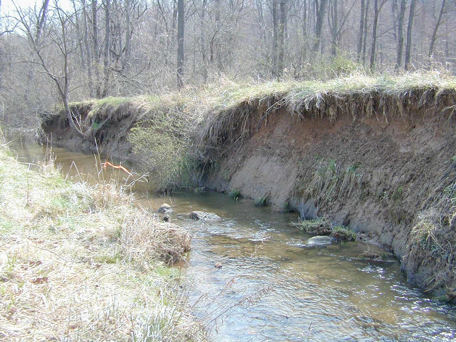 Field photo showing stream conditions at site LOCH-213-R-2002-504