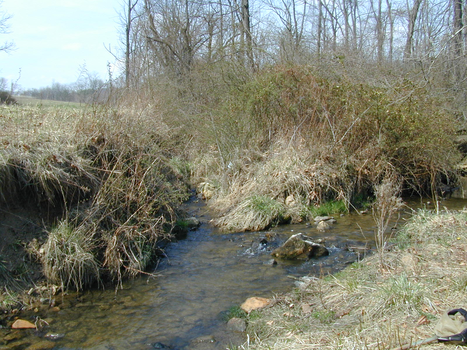 Field photo showing stream conditions at site LOCH-213-R-2002-505