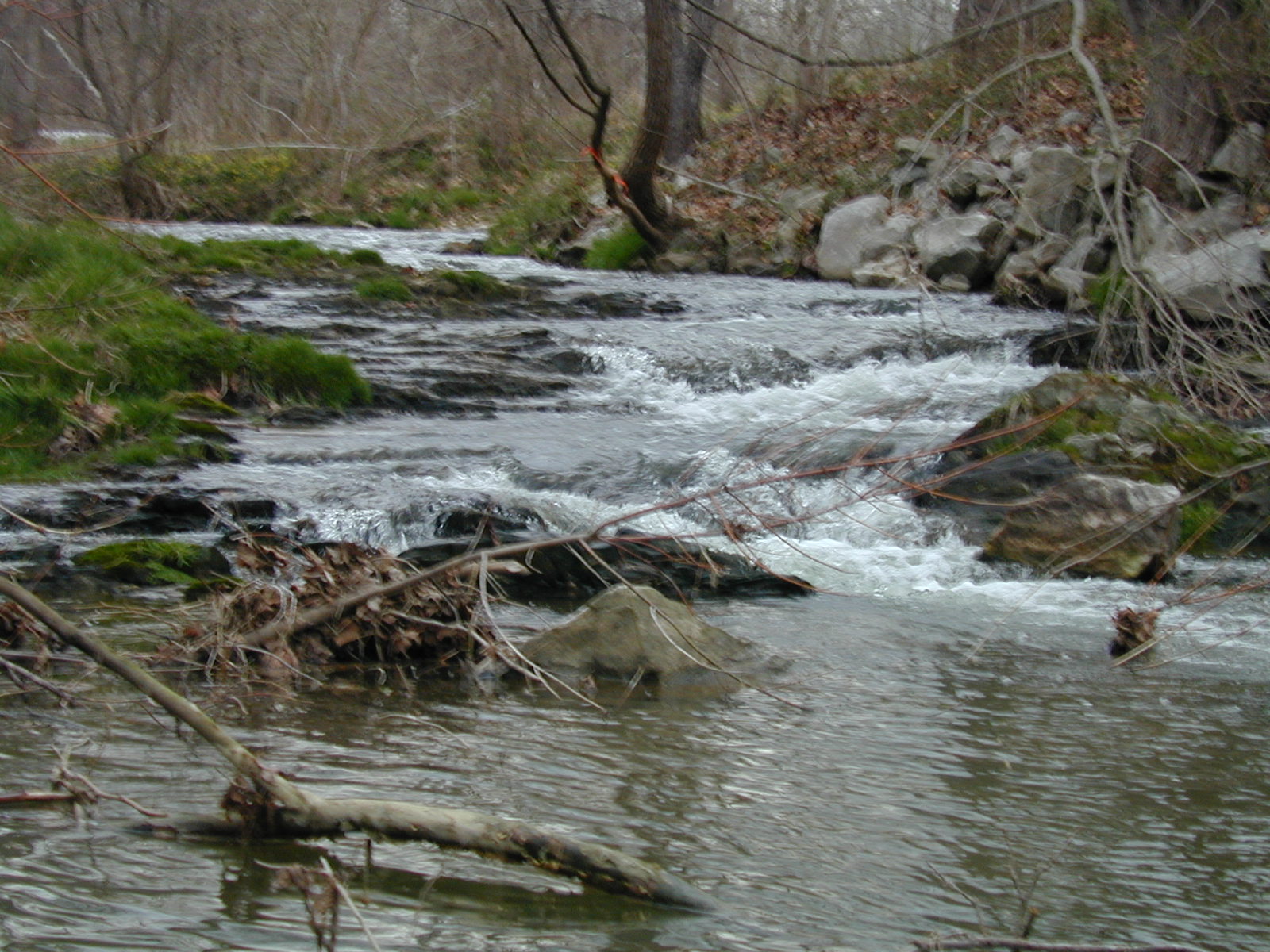 Field photo showing stream conditions at site LOCH-224-R-2002-510