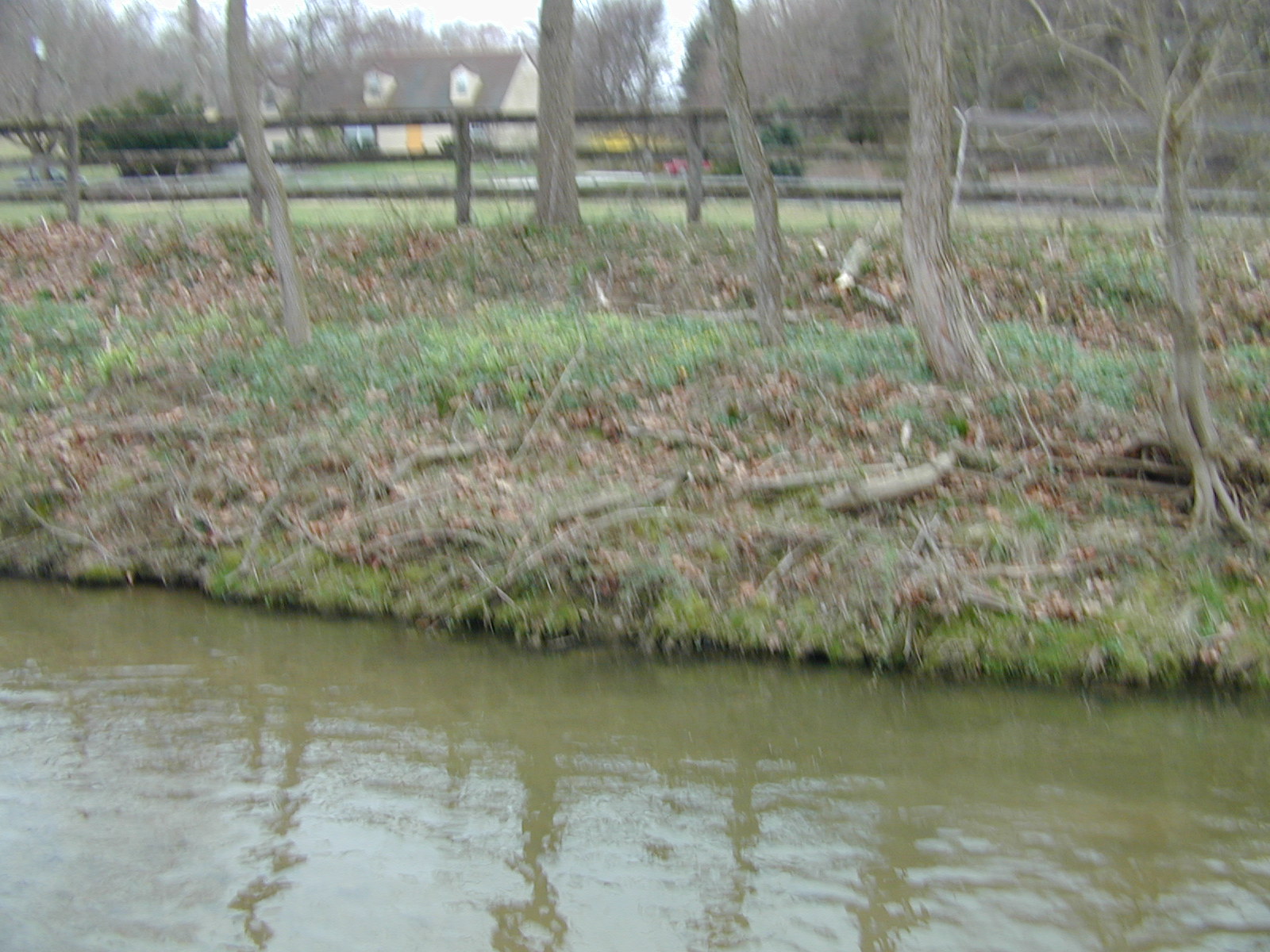 Field photo showing stream conditions at site LOCH-224-R-2002-512