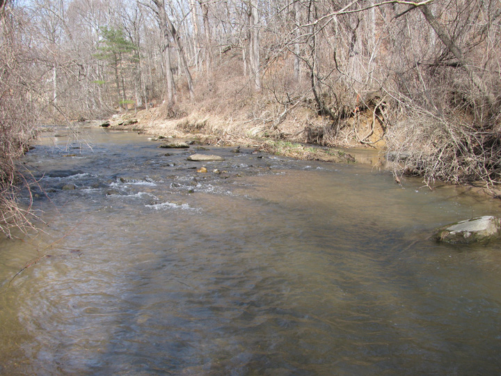 Field photo showing stream conditions at site LOCH-305-A-2011-1