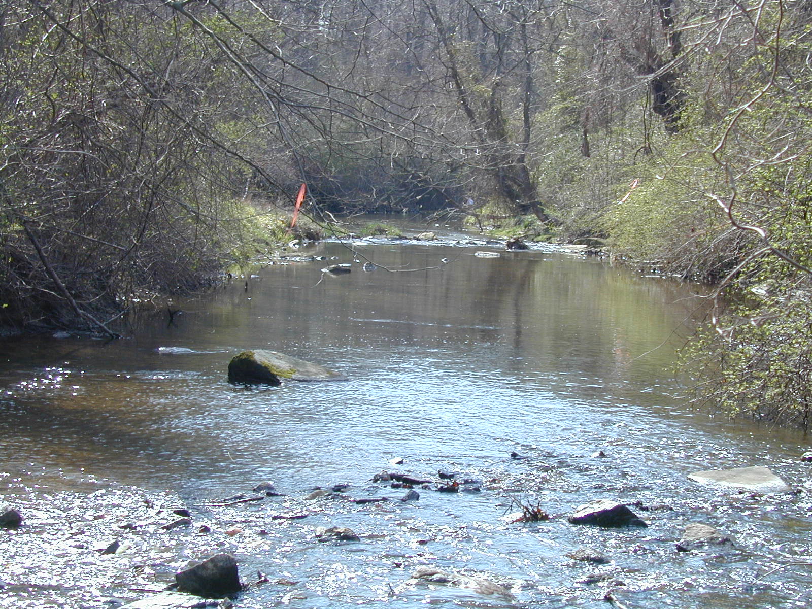 Field photo showing stream conditions at site LOCH-305-R-2002-502