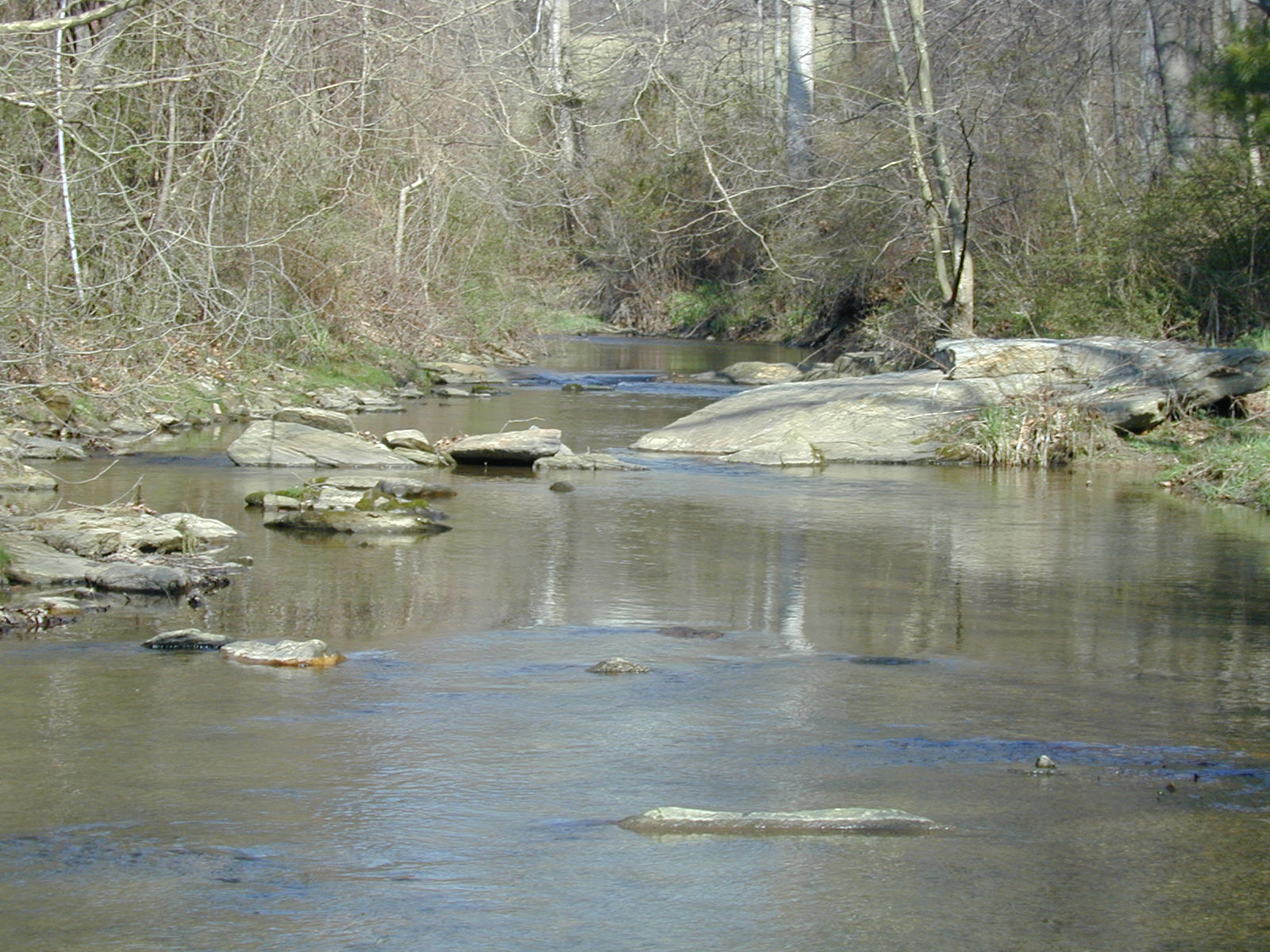 Field photo showing stream conditions at site LOCH-305-R-2002-503