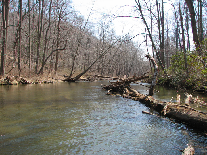 Field photo showing stream conditions at site LOCH-403-R-2007-1