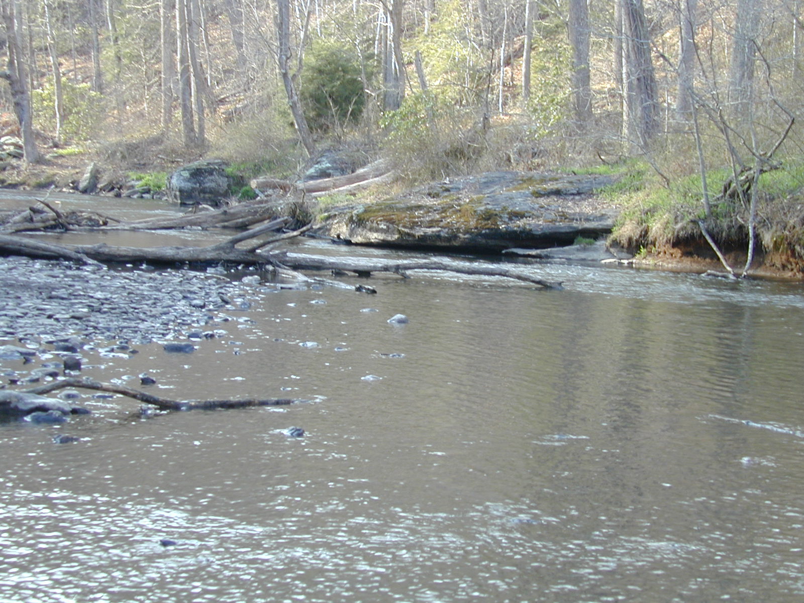 Field photo showing stream conditions at site LOCH-443-R-2002-499