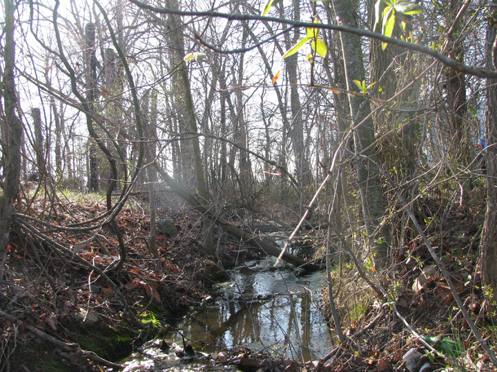 Field photo showing stream conditions at site LOCK-102-R-2009-1