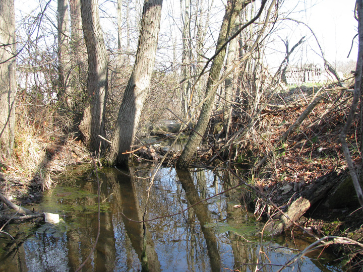 Field photo showing stream conditions at site LOCK-102-R-2009-2