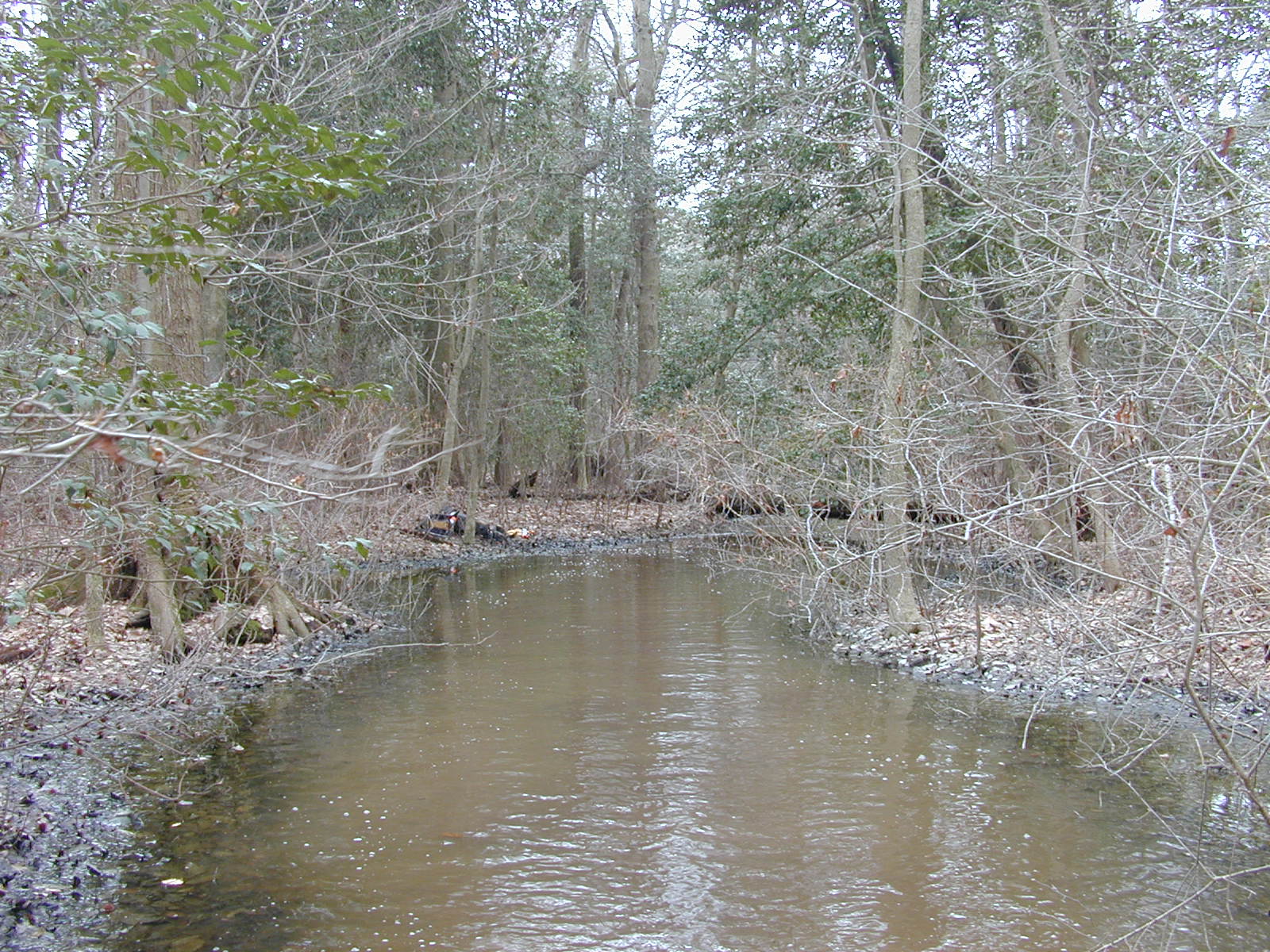 Field photo showing stream conditions at site LOCK-103-R-2003-0895