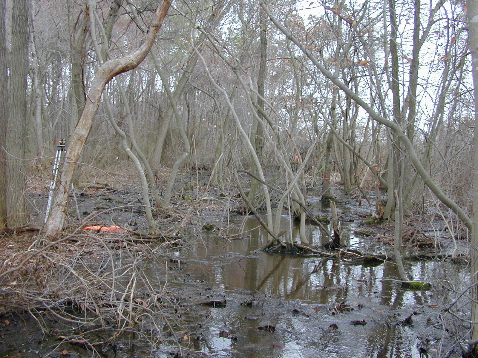 Field photo showing stream conditions at site LOCK-104-R-2003-0898