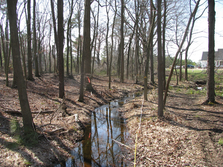 Field photo showing stream conditions at site LOCK-104-R-2009-1