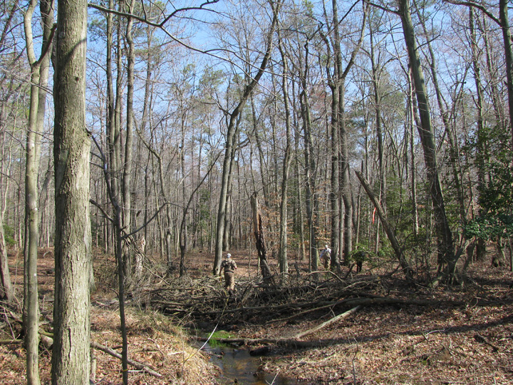 Field photo showing stream conditions at site LOCK-104-R-2009-2