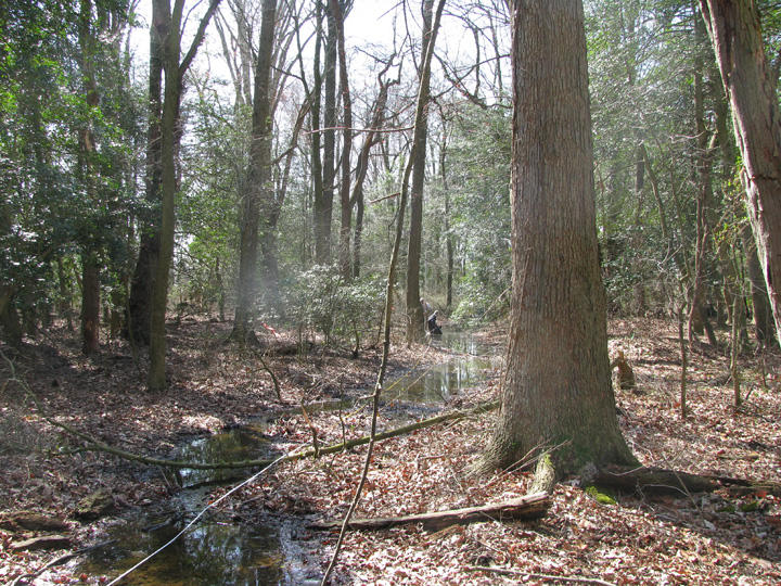 Field photo showing stream conditions at site LOCK-105-R-2009-1