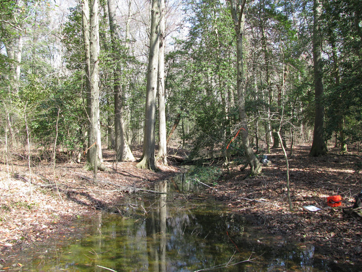 Field photo showing stream conditions at site LOCK-105-R-2009-2