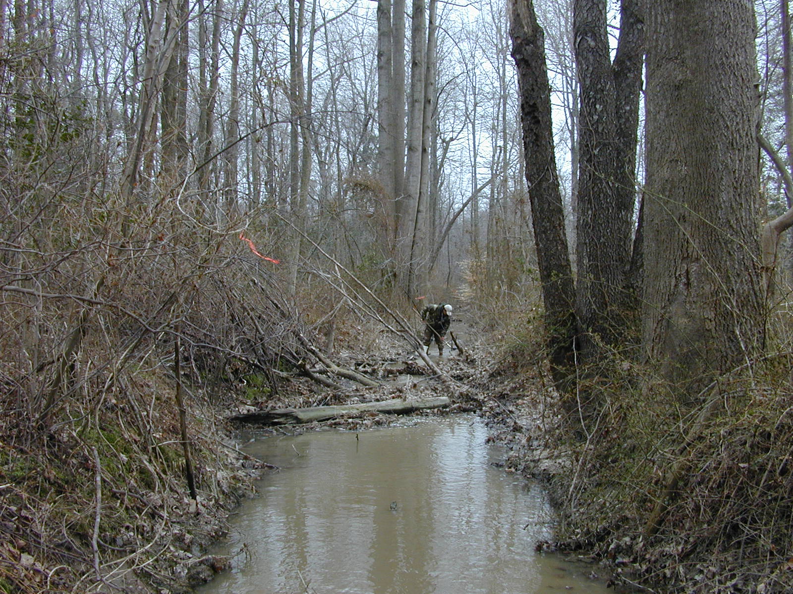 Field photo showing stream conditions at site LOCK-108-R-2003-0892