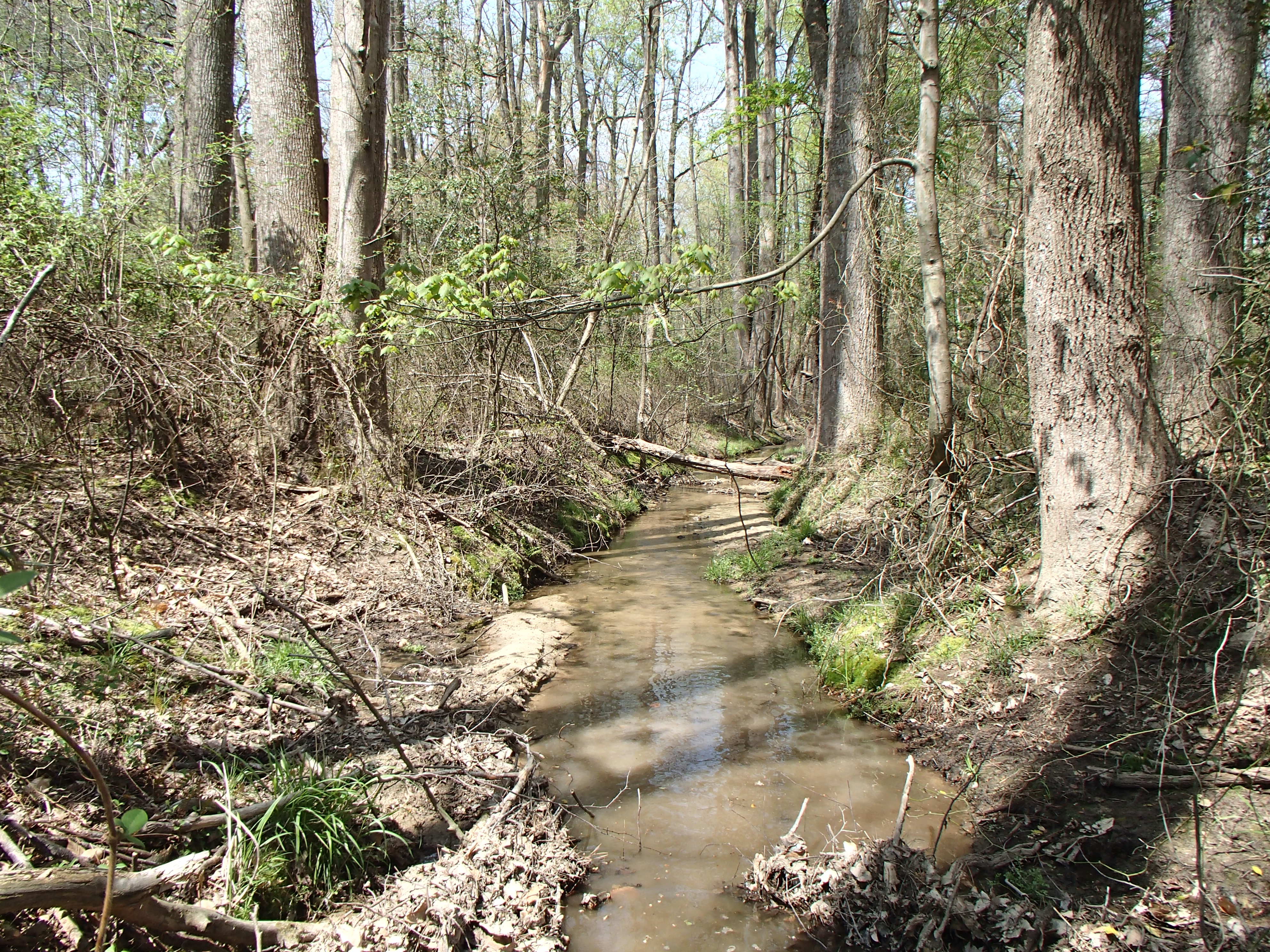 Field photo showing stream conditions at site LOCK-108-R-2017-MidpointFacingDownstream