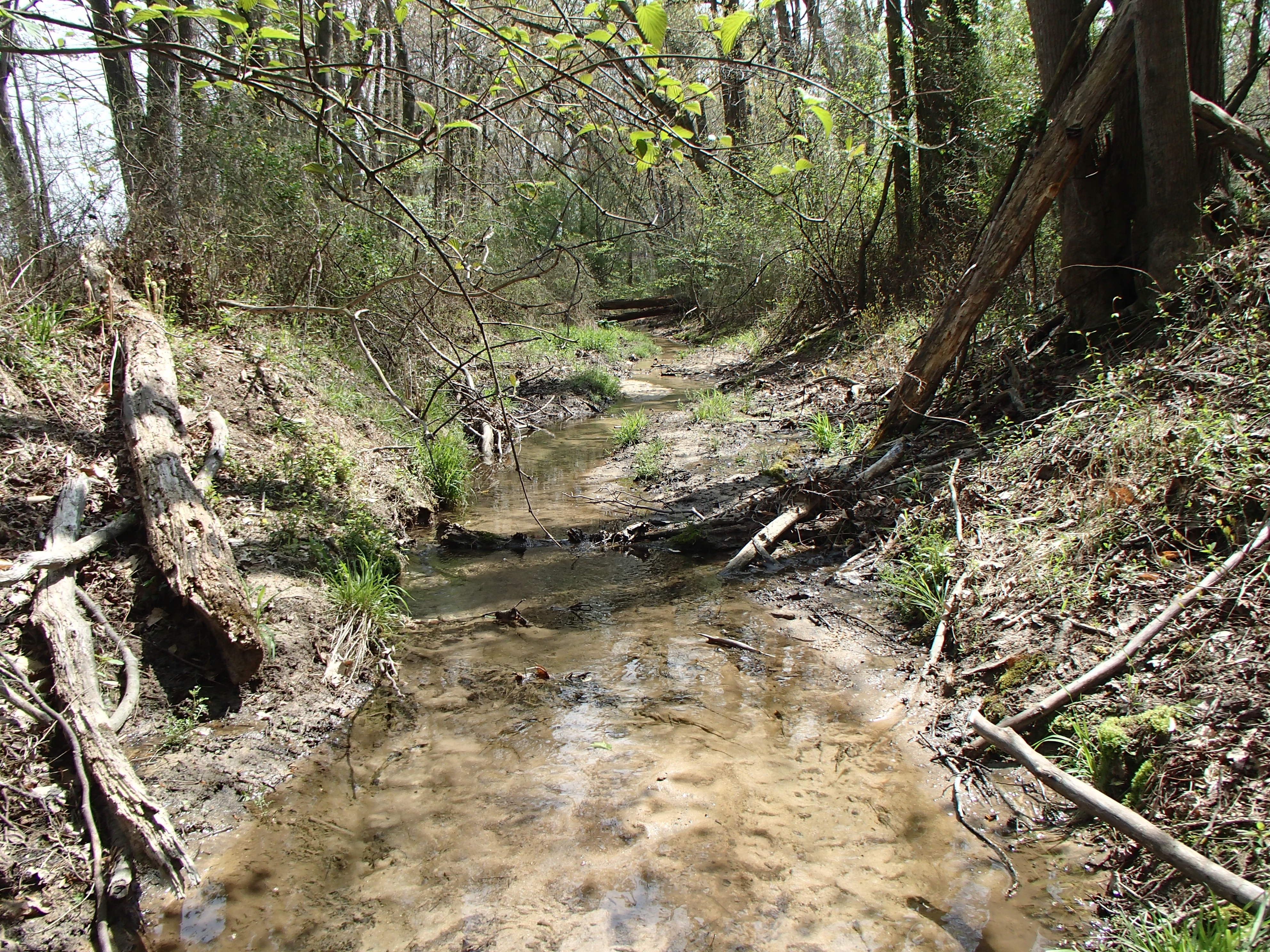 Field photo showing stream conditions at site LOCK-108-R-2017-MidpointFacingUpstream