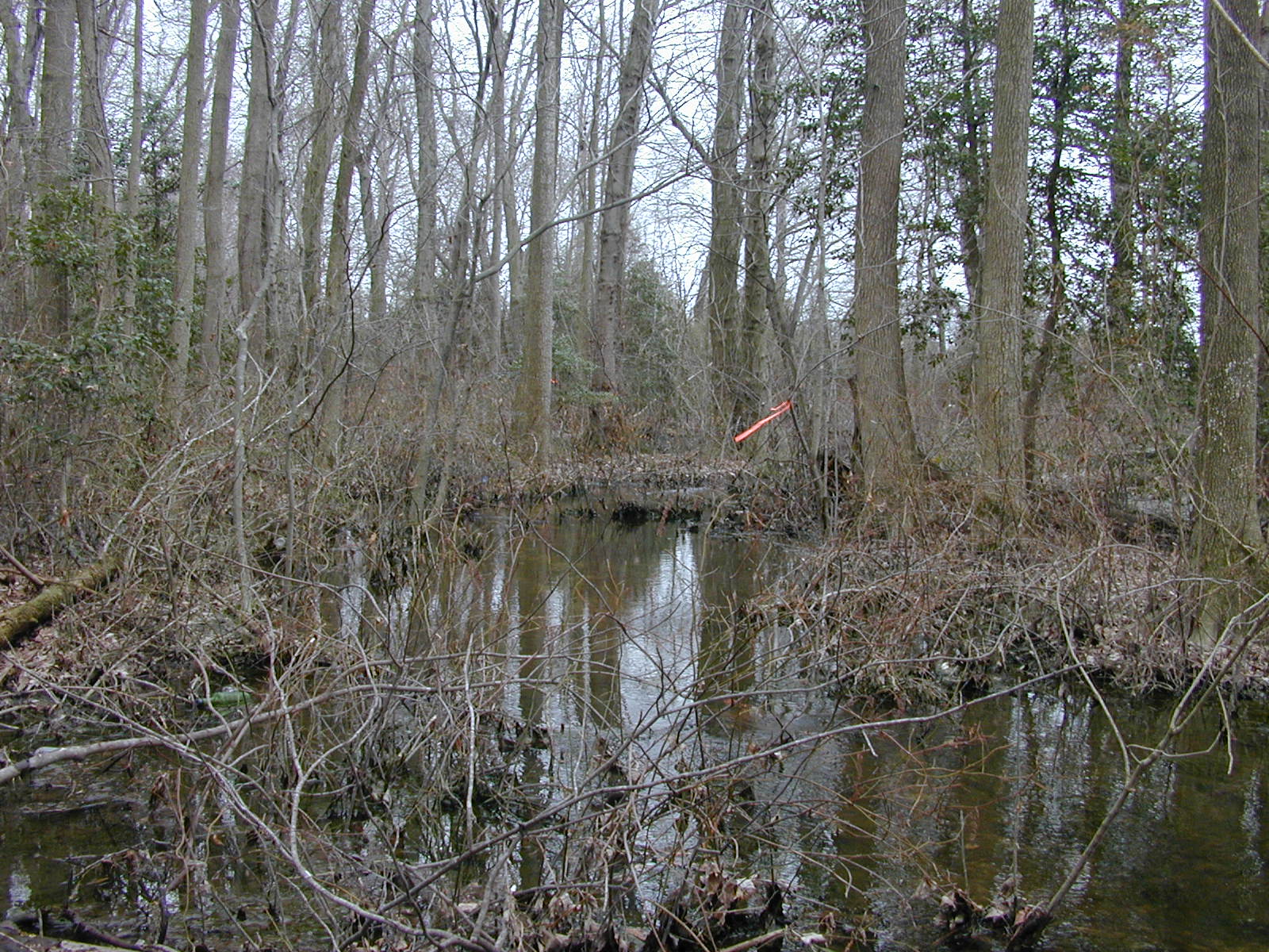 Field photo showing stream conditions at site LOCK-110-R-2003-0896