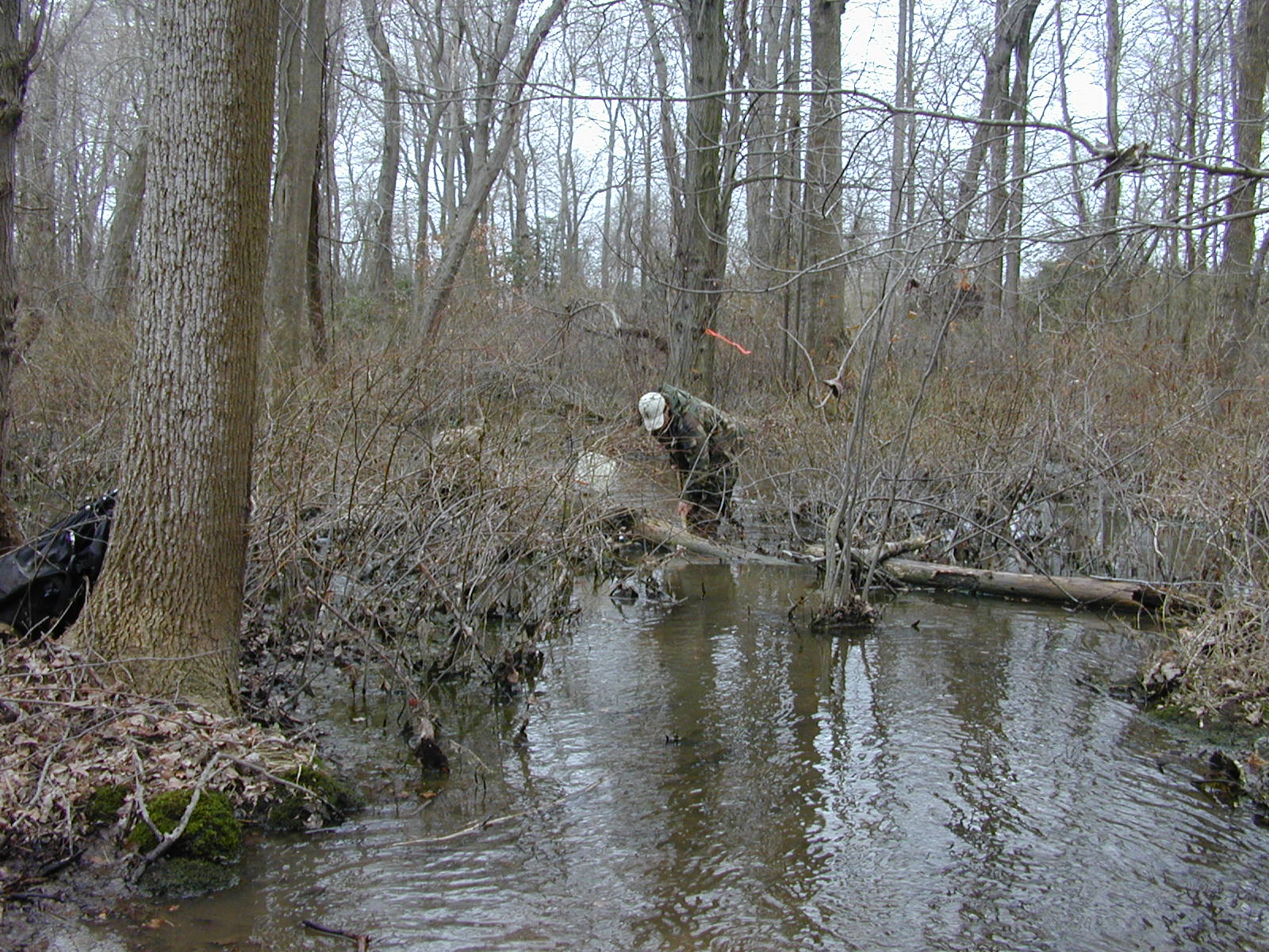 Field photo showing stream conditions at site LOCK-110-R-2003-0897