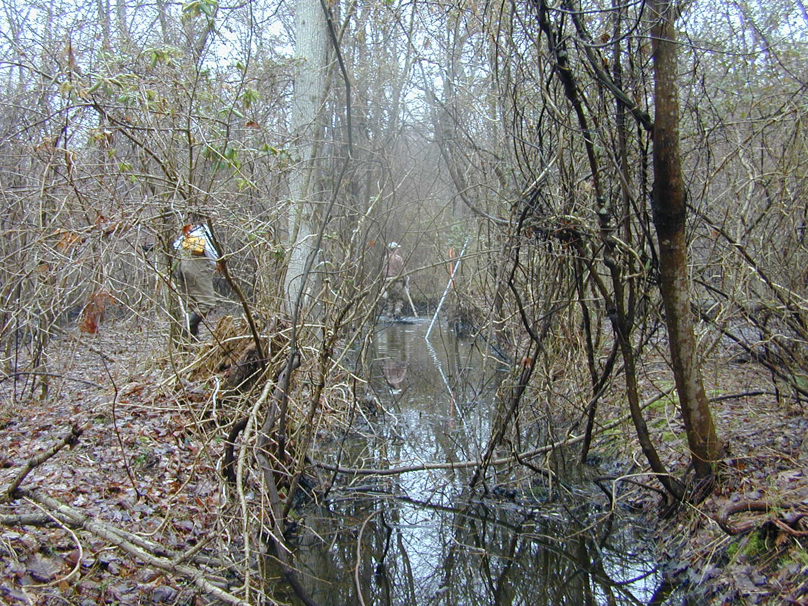 Field photo showing stream conditions at site LOCK-118-R-2003-0865