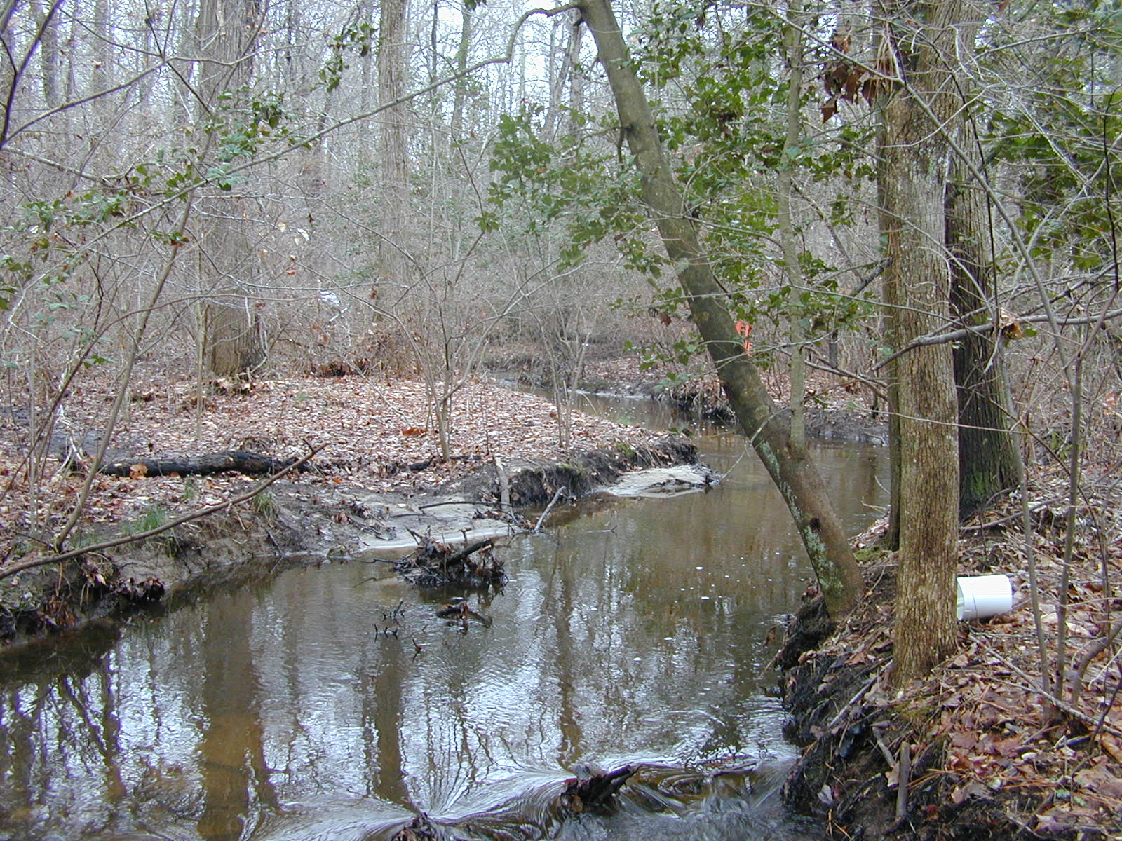 Field photo showing stream conditions at site LOCK-126-R-2003-0875