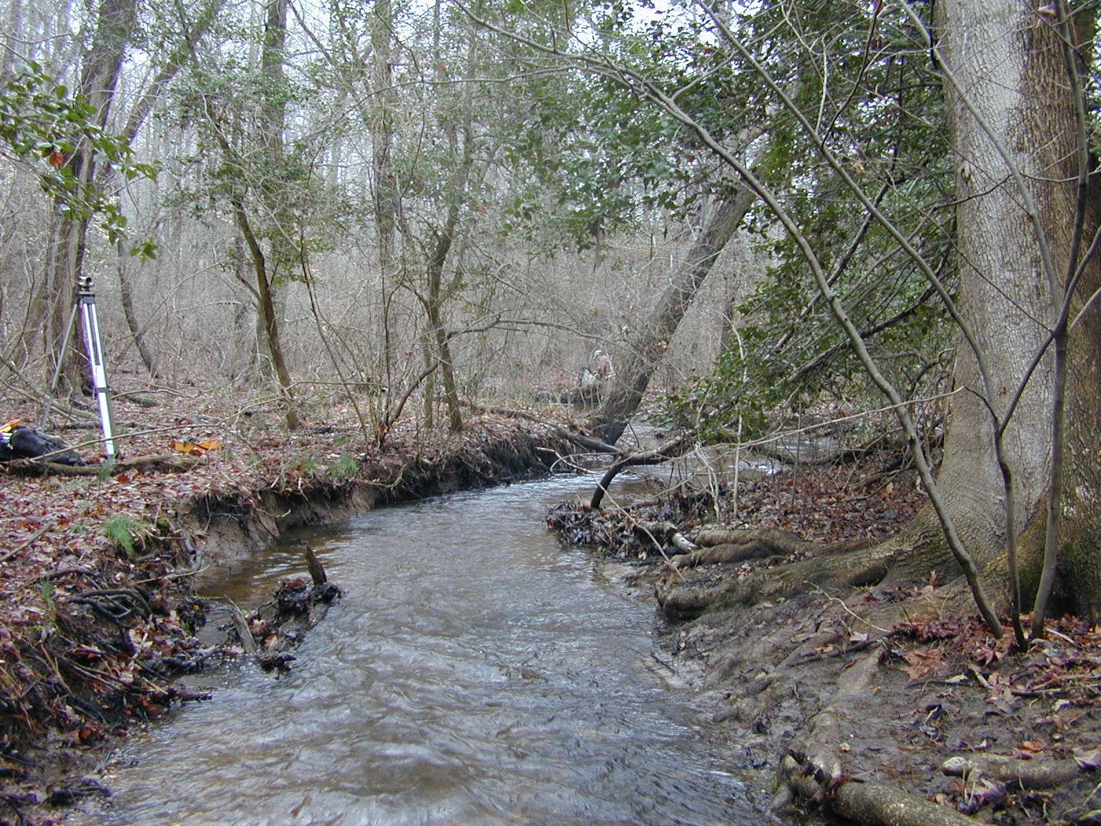 Field photo showing stream conditions at site LOCK-126-R-2003-0876