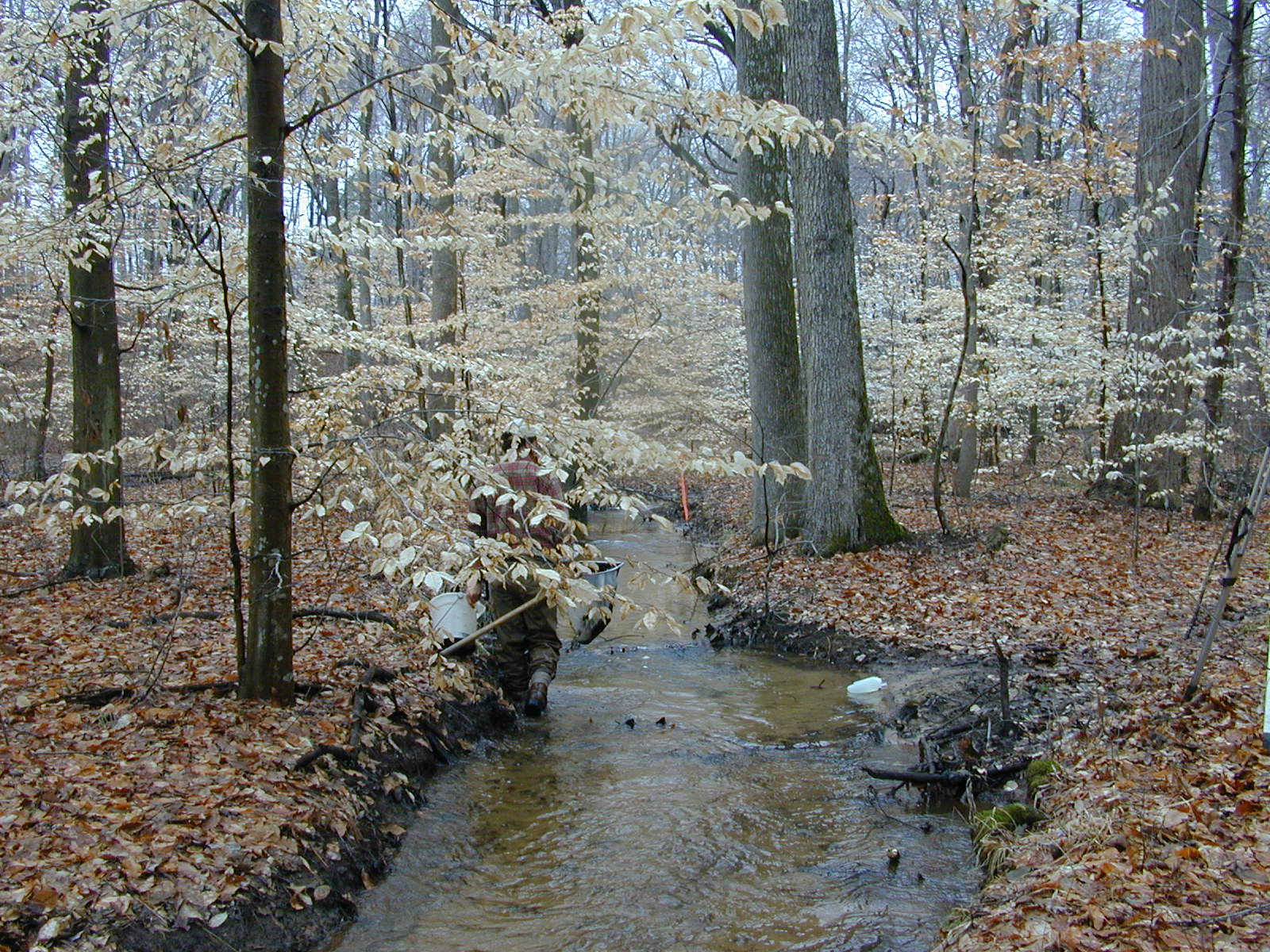 Field photo showing stream conditions at site LOCK-128-R-2003-0868