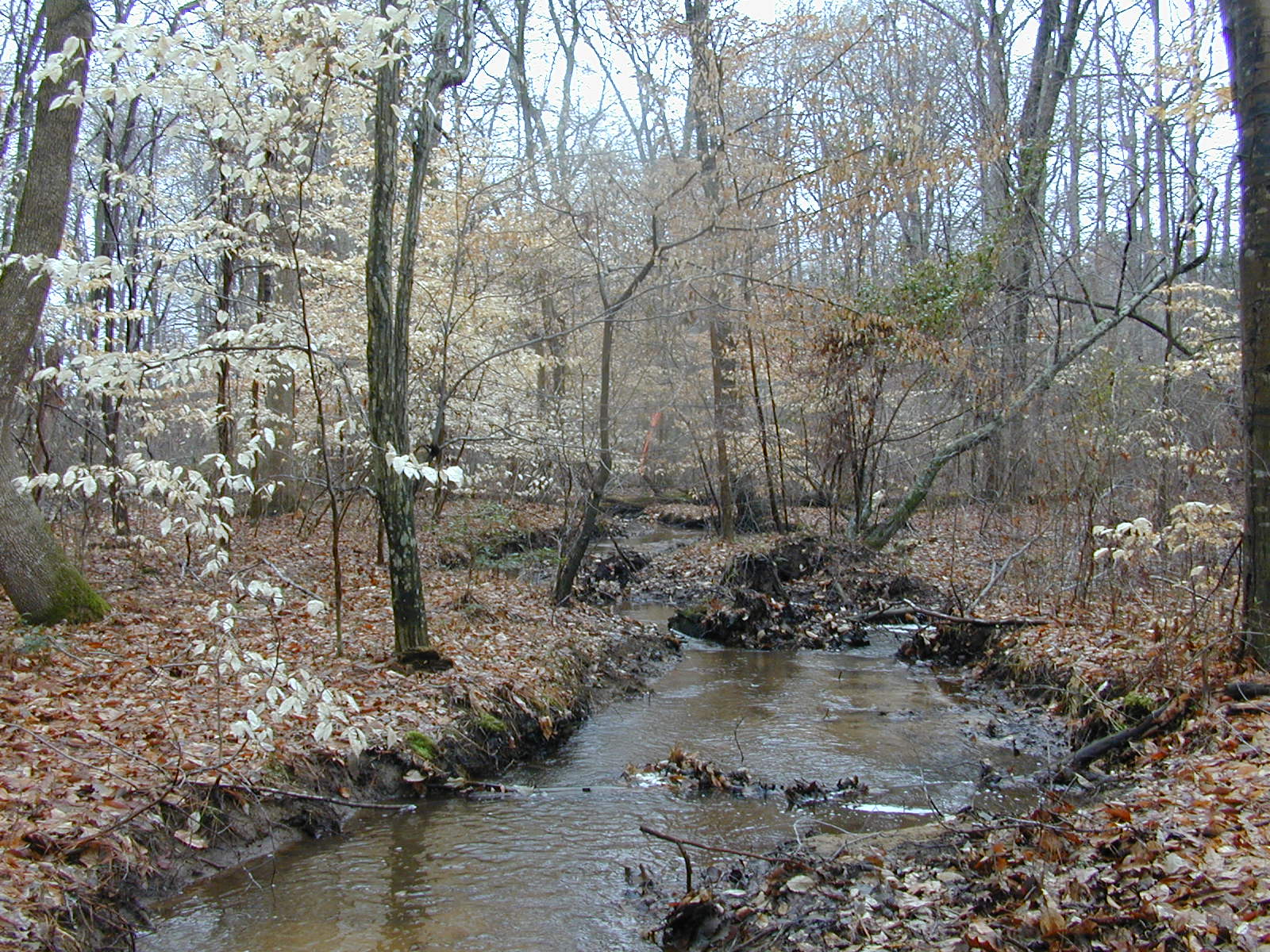 Field photo showing stream conditions at site LOCK-128-R-2003-0869