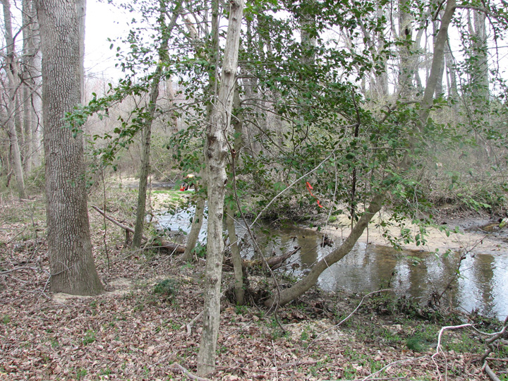 Field photo showing stream conditions at site LOCK-201-X-2007-1