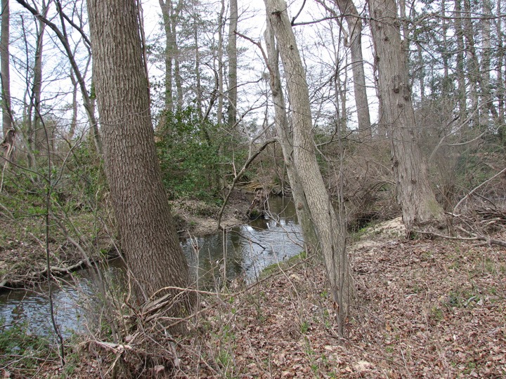 Field photo showing stream conditions at site LOCK-201-X-2007-2
