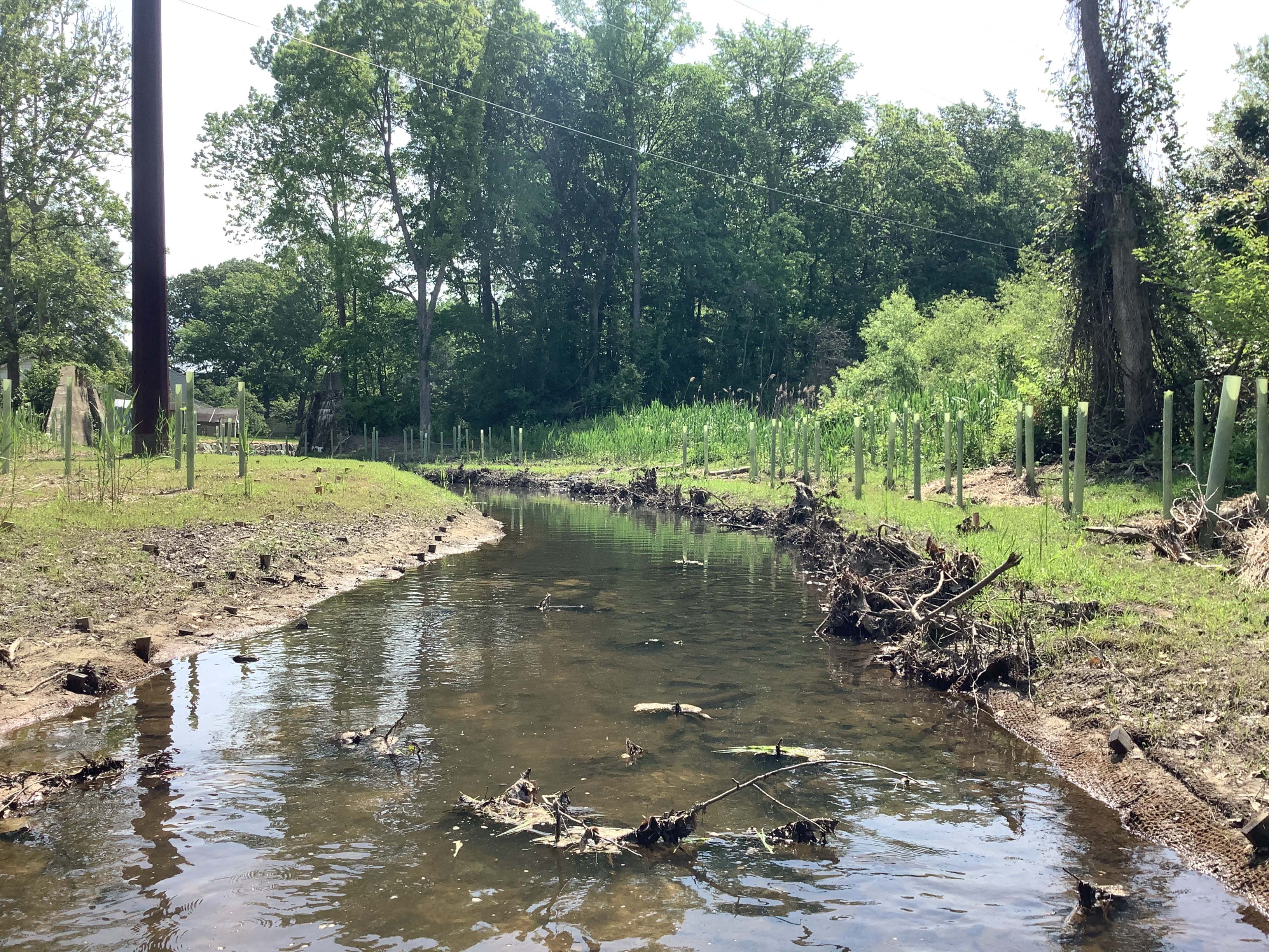 Field photo showing stream conditions at site LOCK-320-R-2023-Midpointlookingupstreampost-restoration