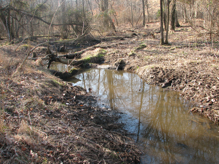 Field photo showing stream conditions at site LOCR-101-R-2008-1